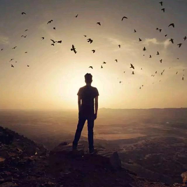 料峭春风吹酒醒