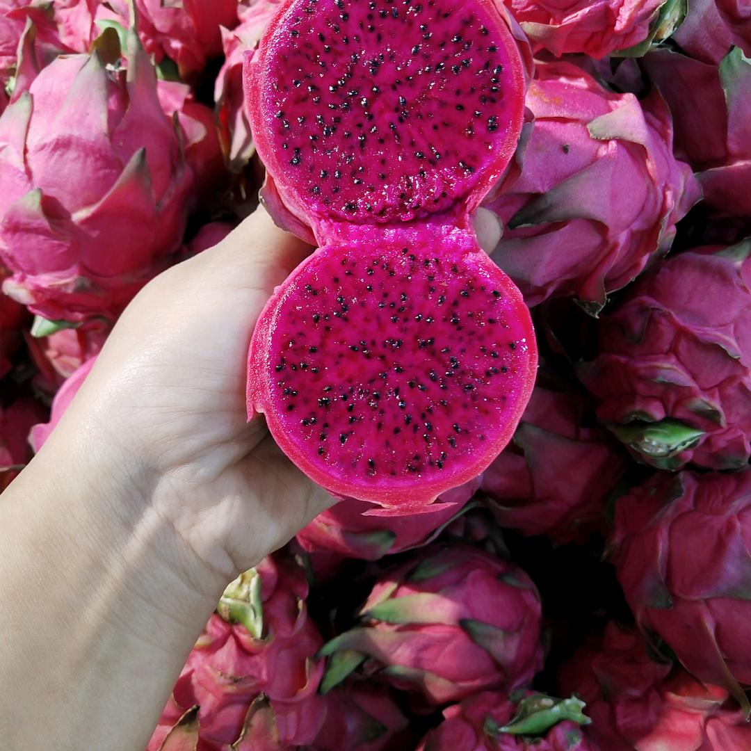 恋购一号果园专用号