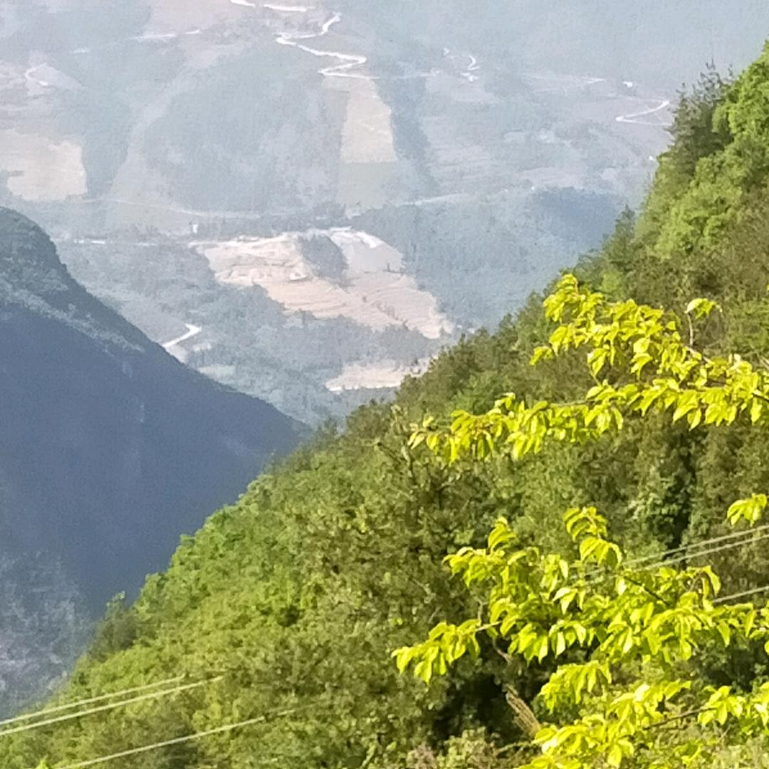 难搞哦