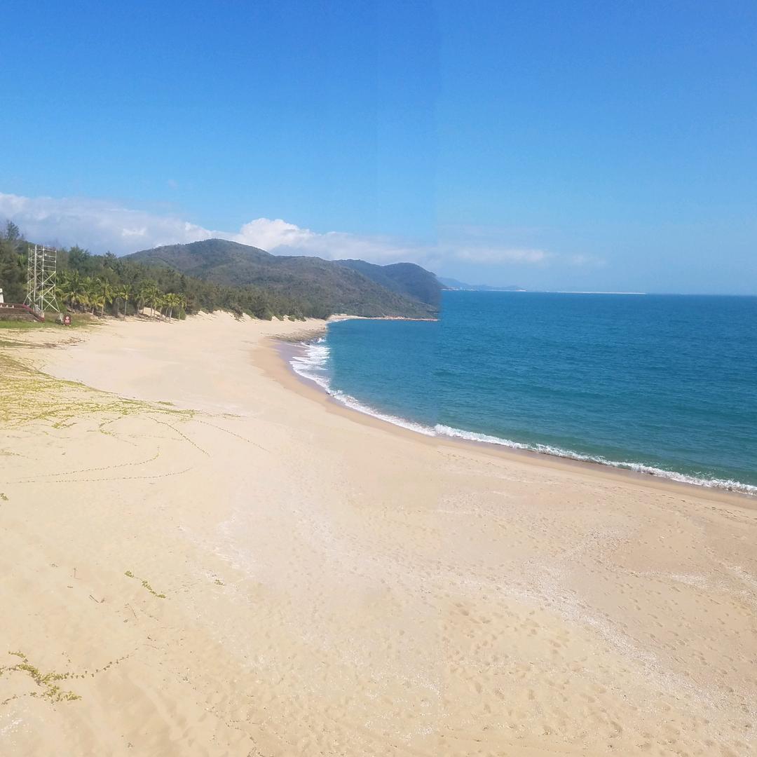 拖鞋飞来拿嘴咬