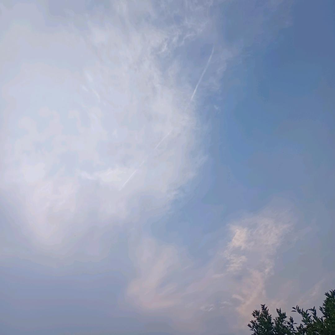 子七