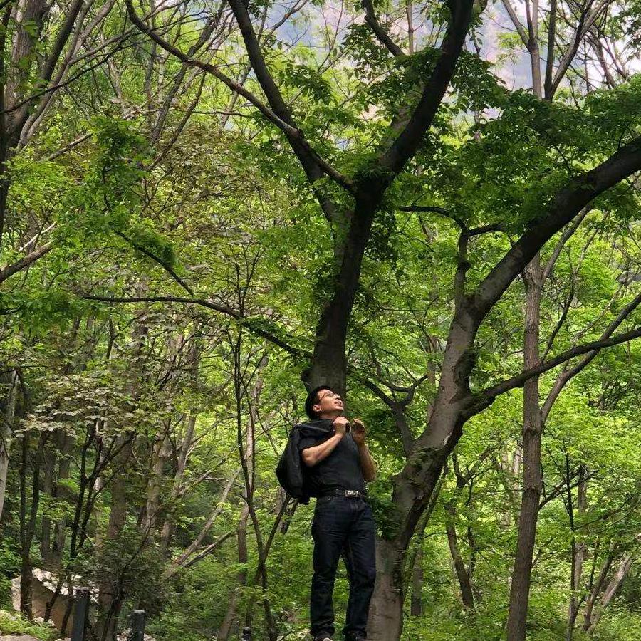 聂V强音龘驫