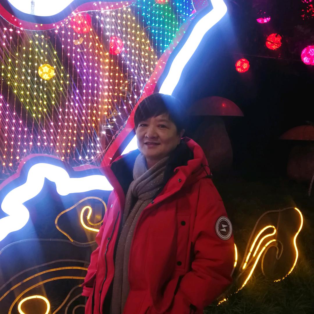 美洋羊