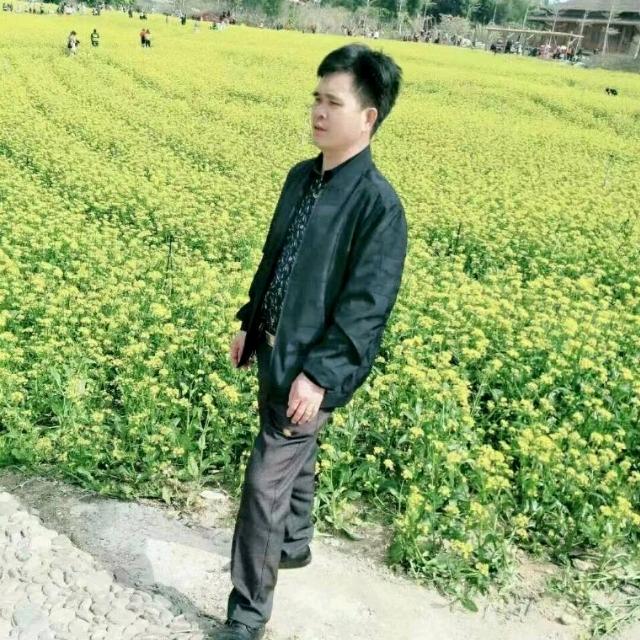 小叶