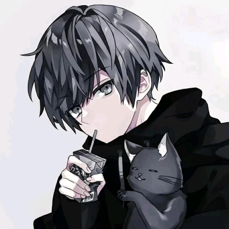 MR张