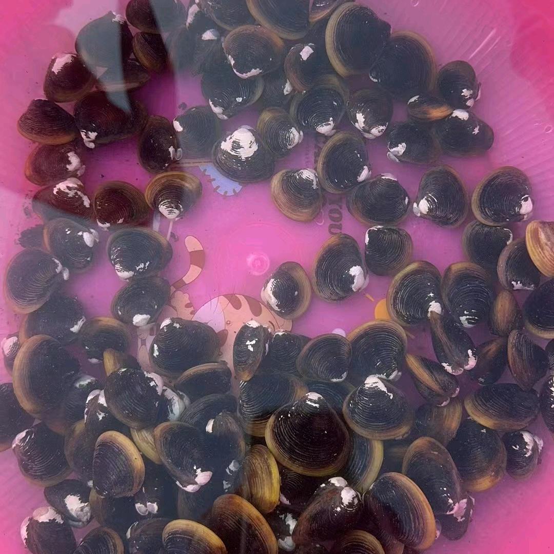 放不下的那个人