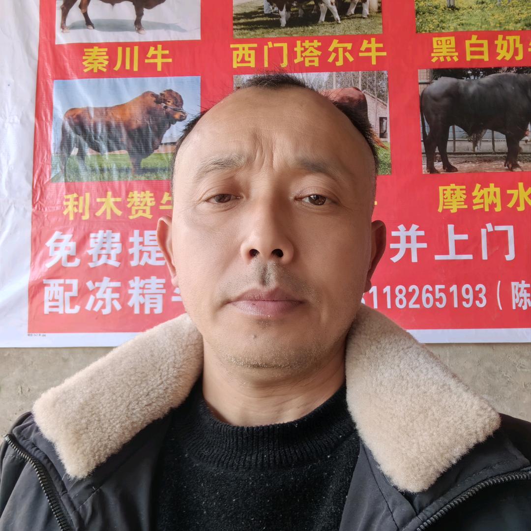 老林牛市
