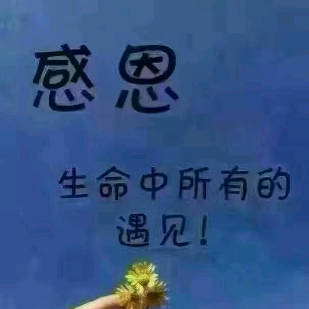 阿飞男装供应