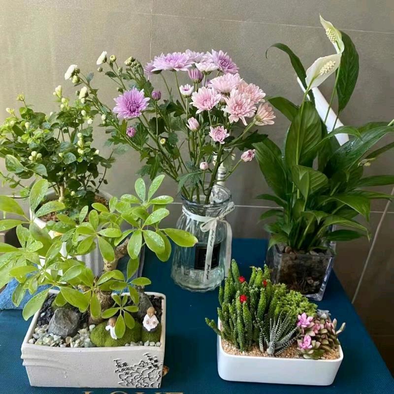 笑过江湖，你是谁？