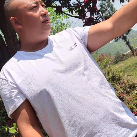四处奔波