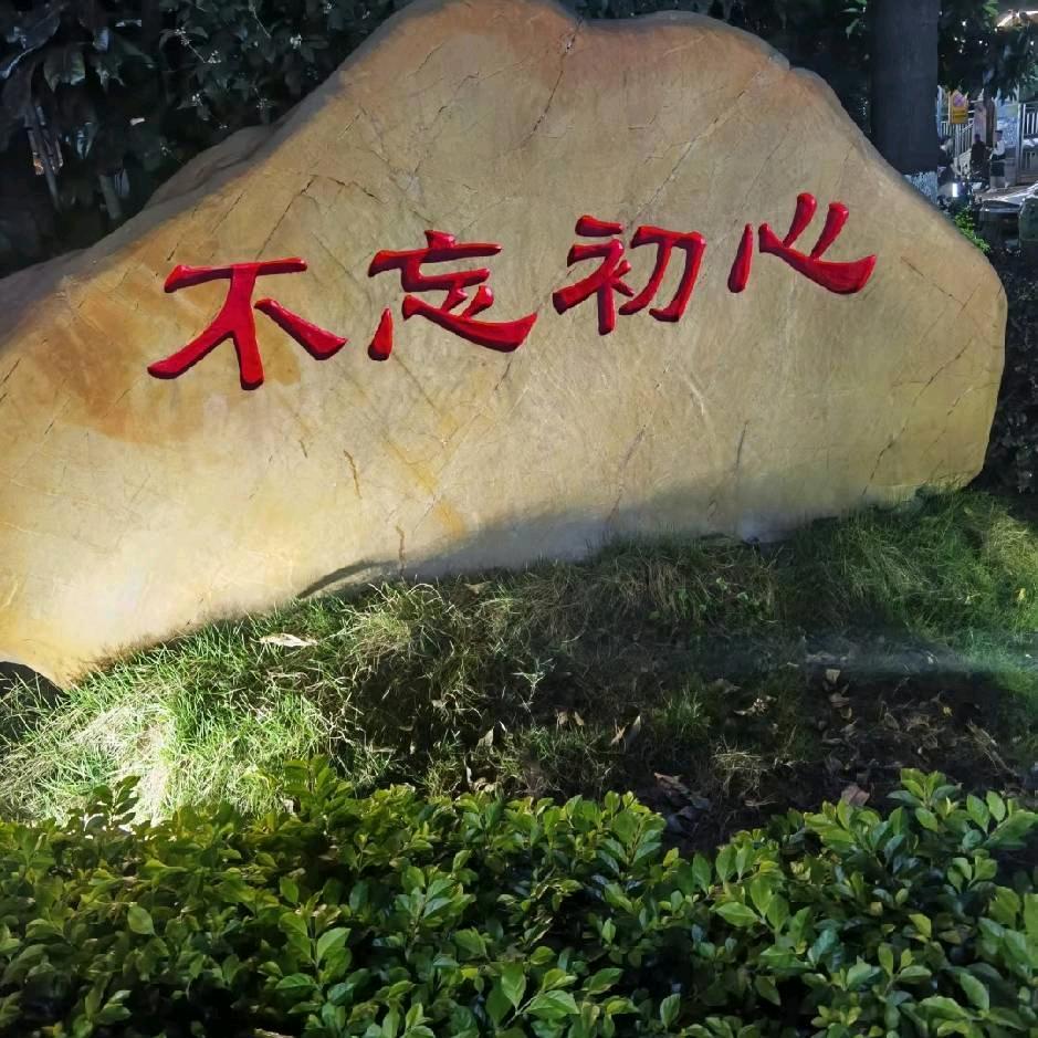 高压锅炖主播