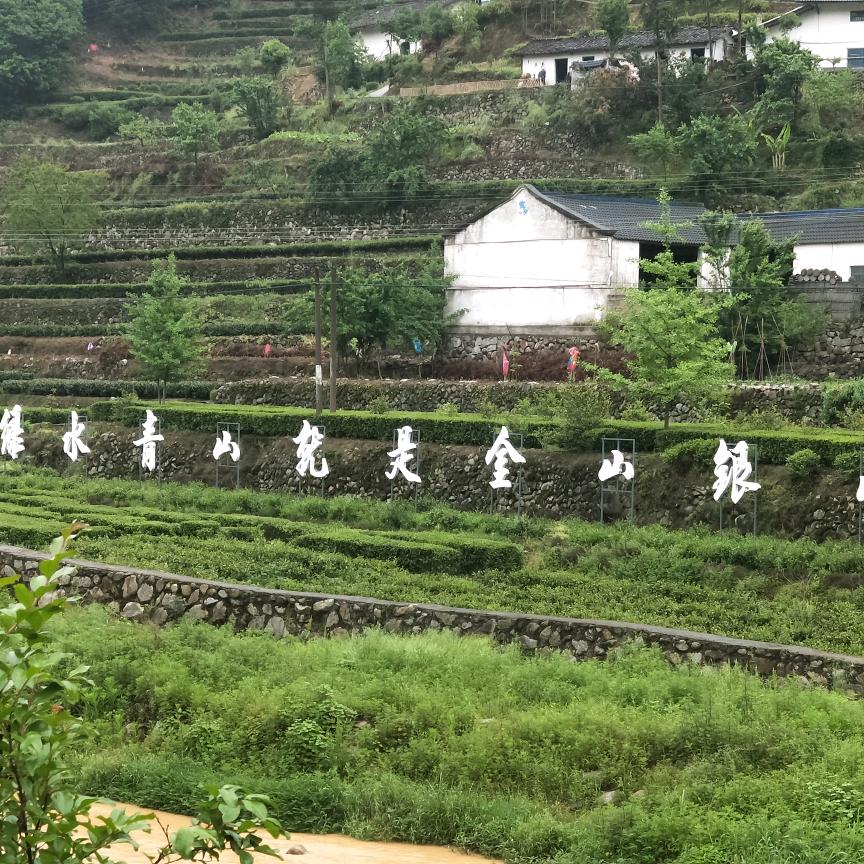 王辉