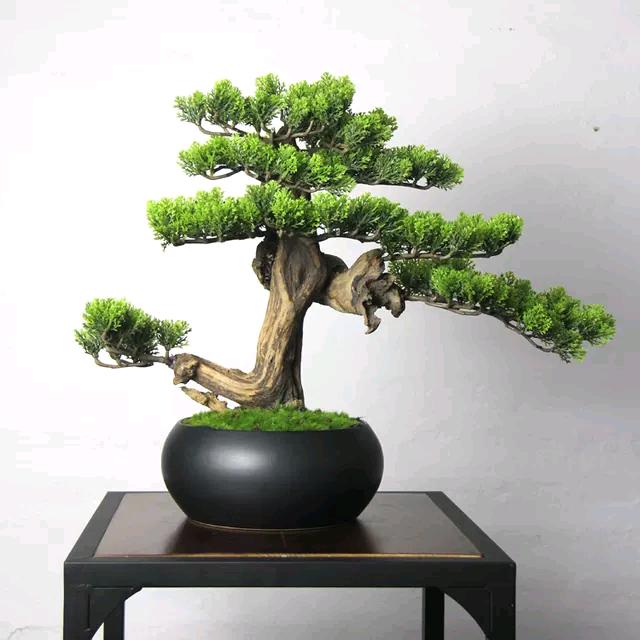 小山丘