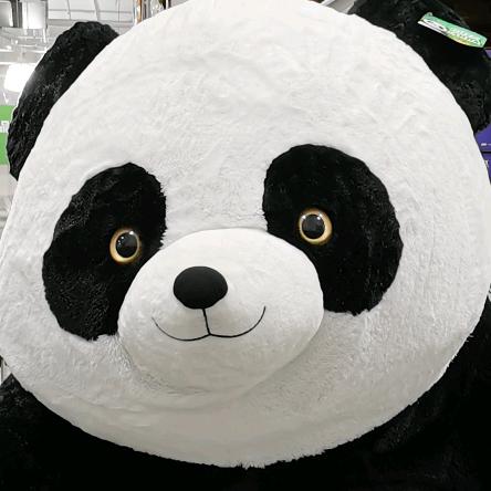 噗