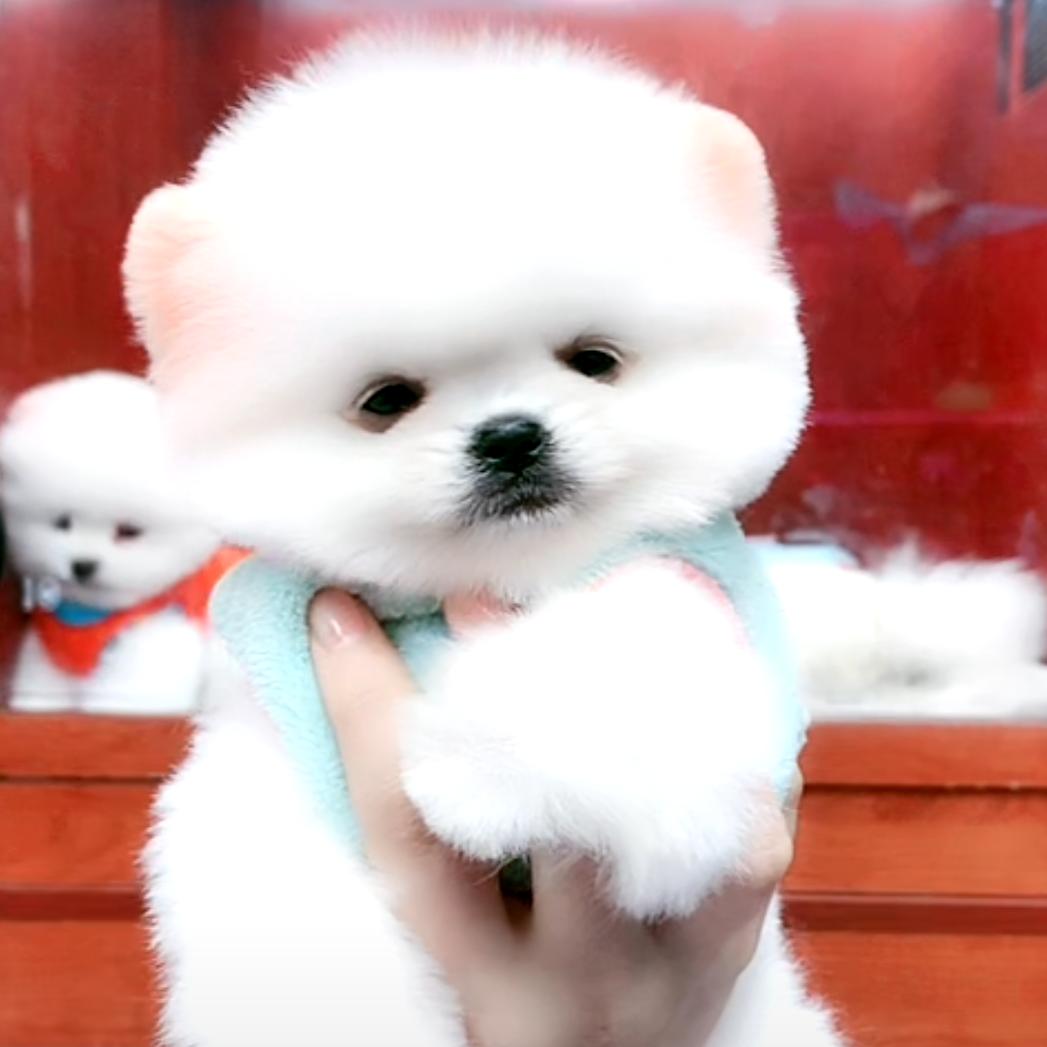@ღ᭄ꦿ顾里࿐💞এ᭄