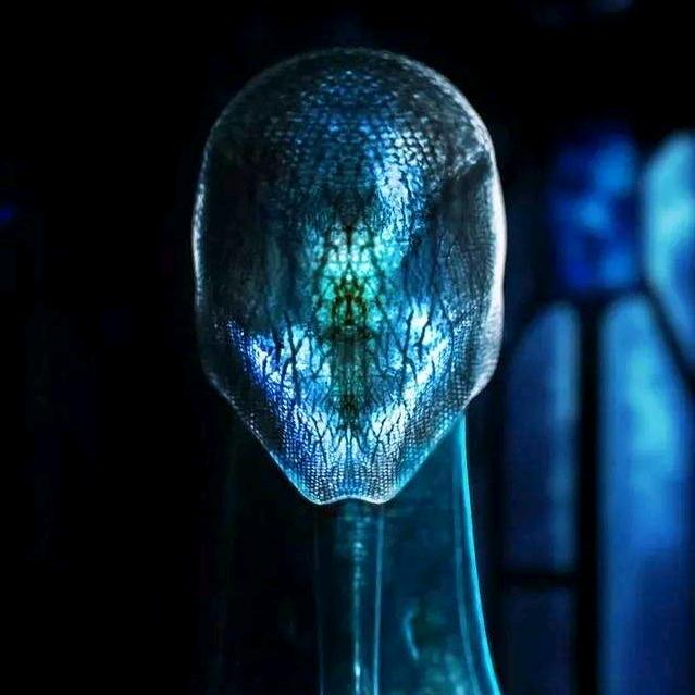宇宙共振硅晶人