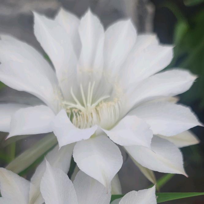 ^O^容我在ƪ(˘⌣˘)ʃ优雅