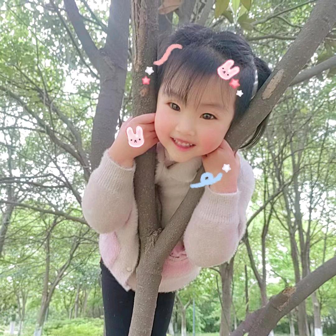 夕夕