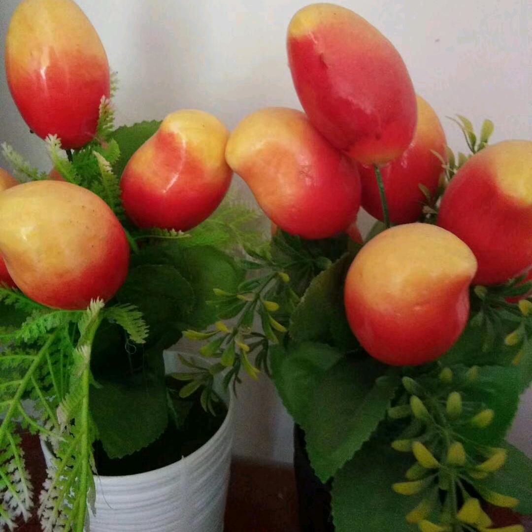 湫湫🌹🌹🍎🍎