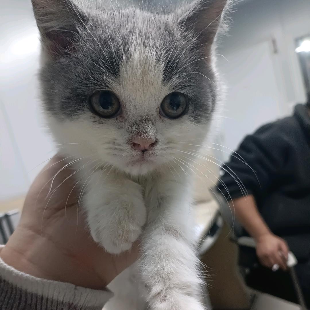 可乐加盐一点不甜