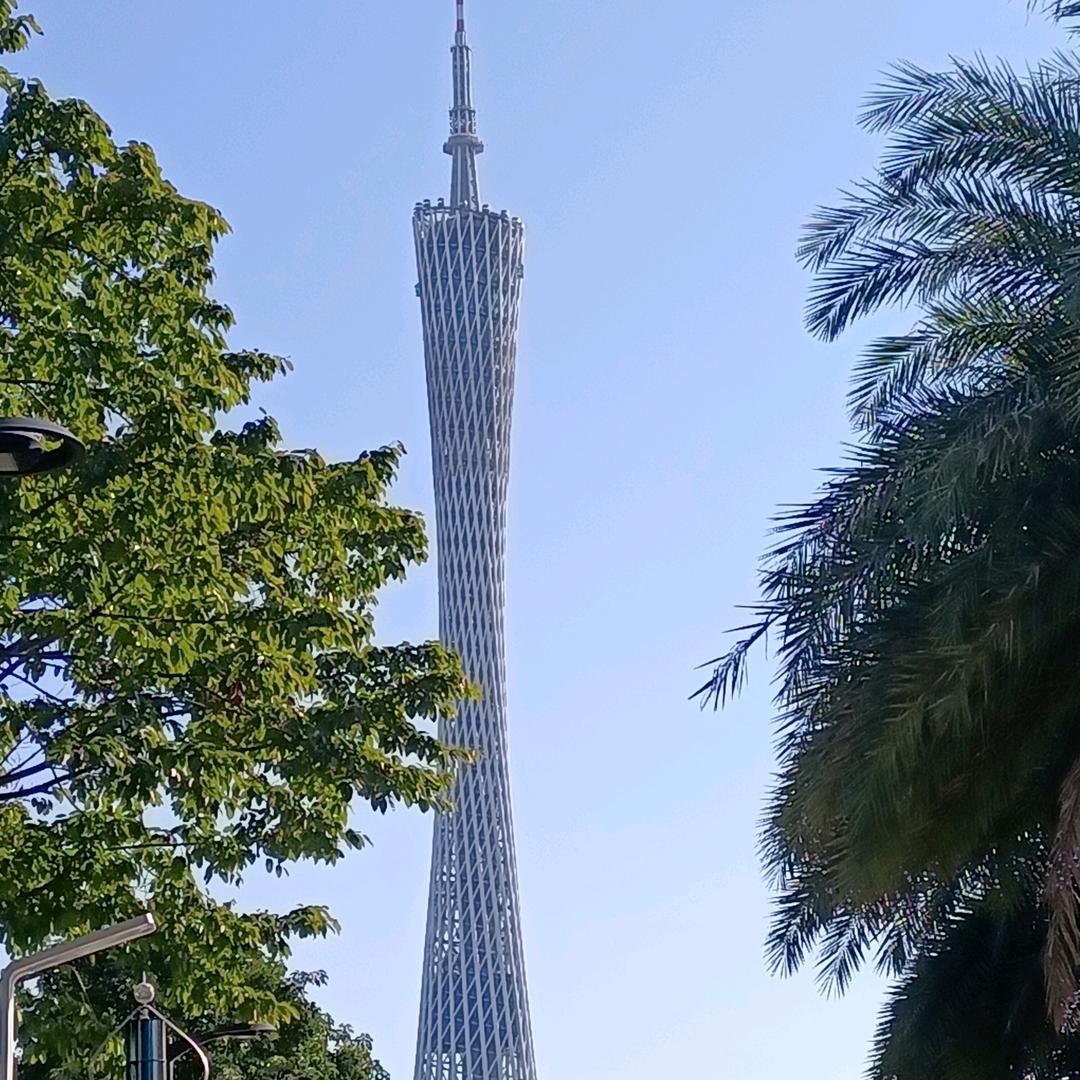 洋葱
