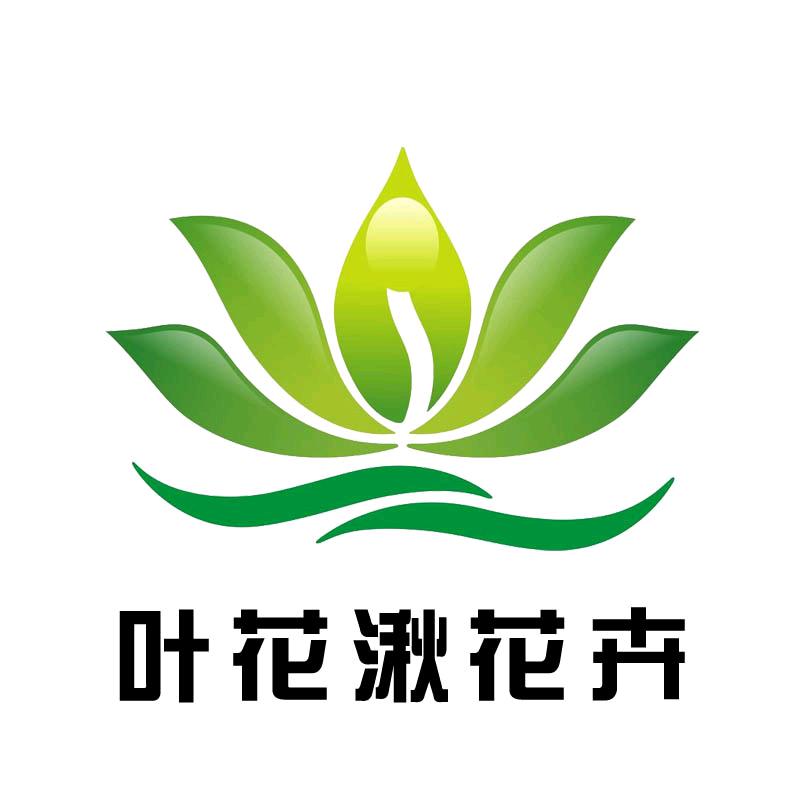 叶花湫花卉