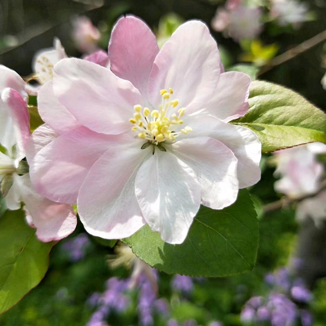 美璇成人舞蹈工作室