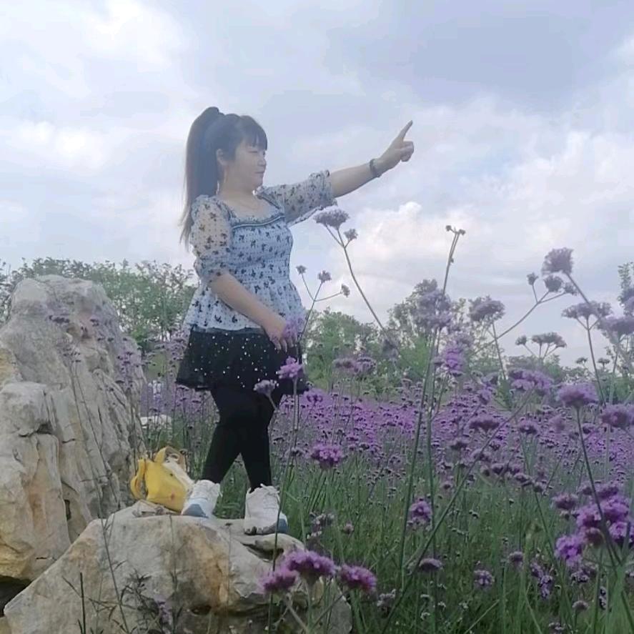 陶仙姑