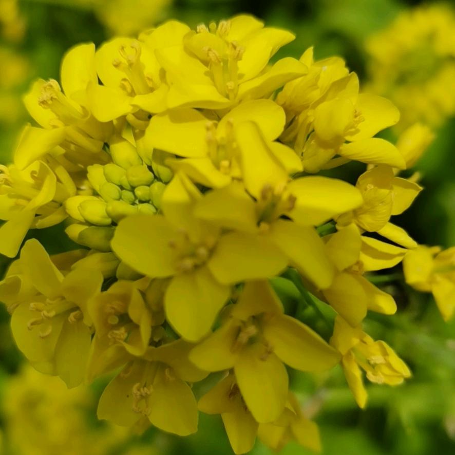 用户6101609800944平凡