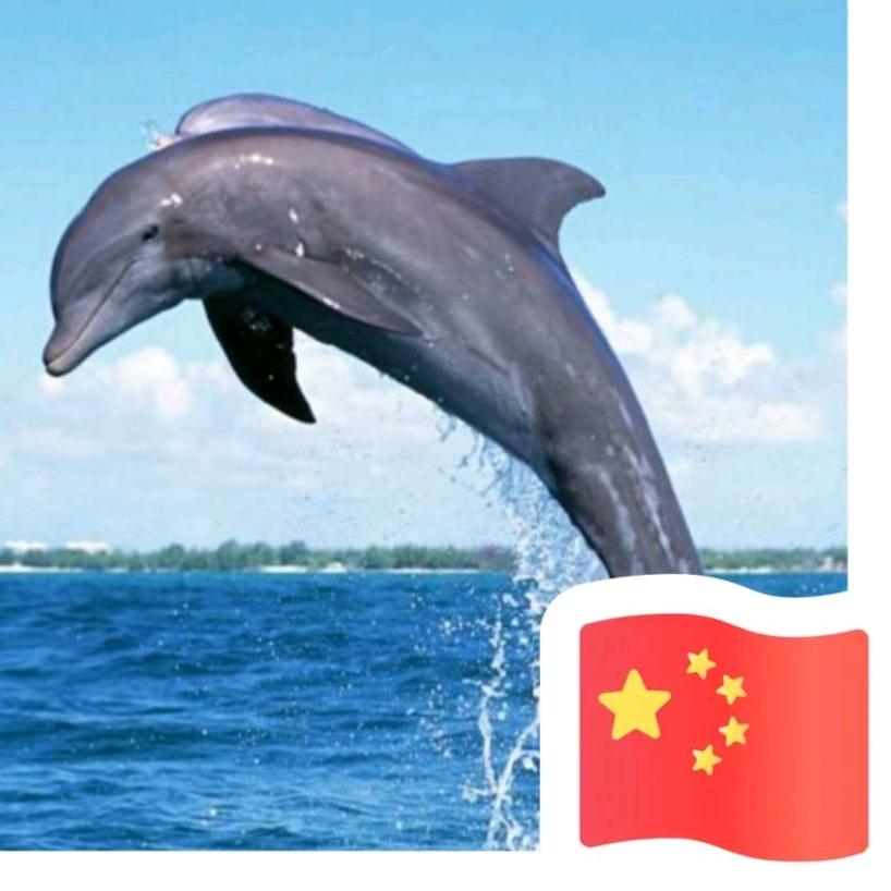 裸奔的鱼🐠