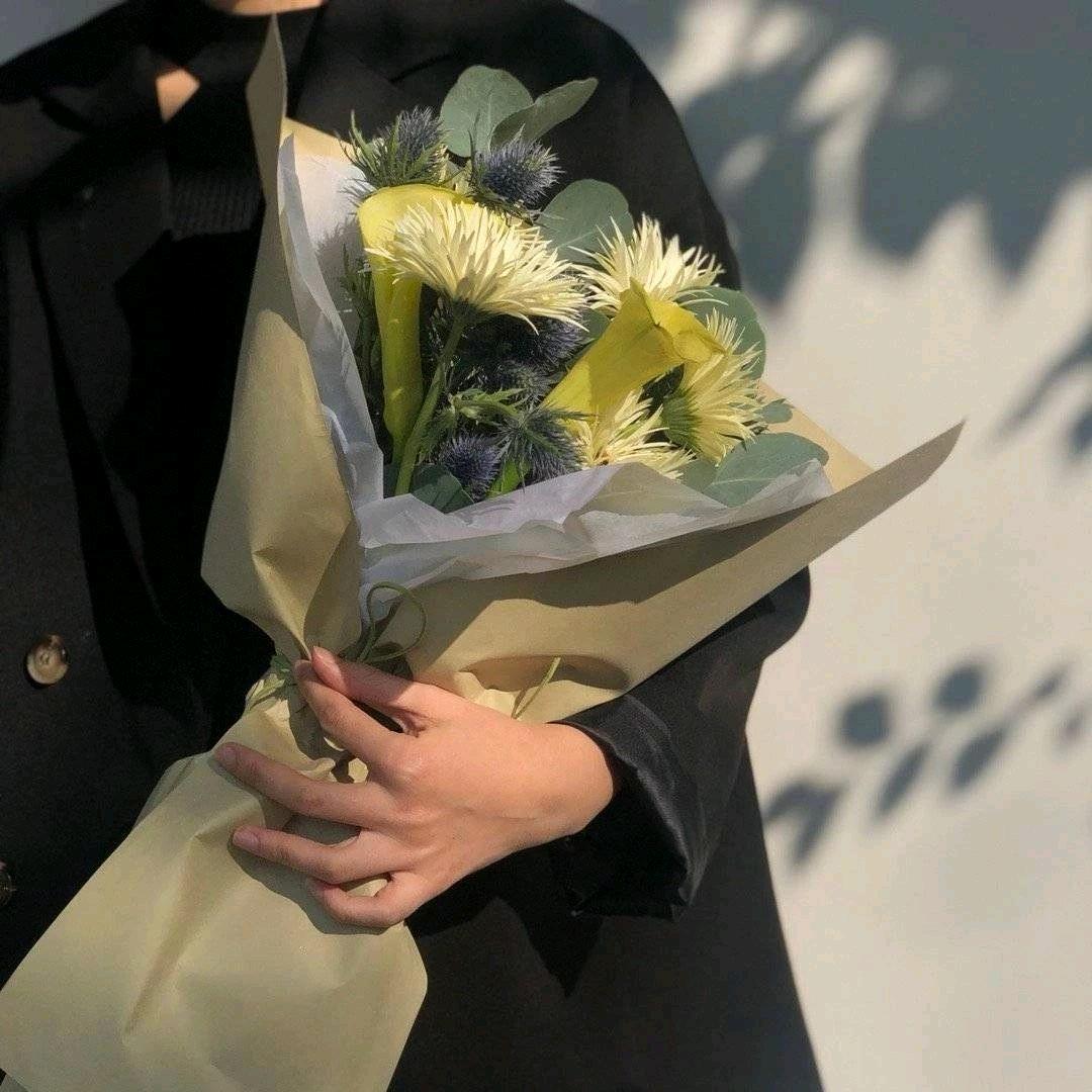 🌈🌈🌈小白熊🐻🐻🐻