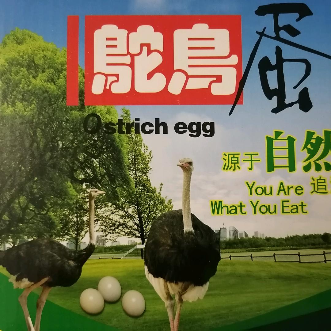 诚风启航