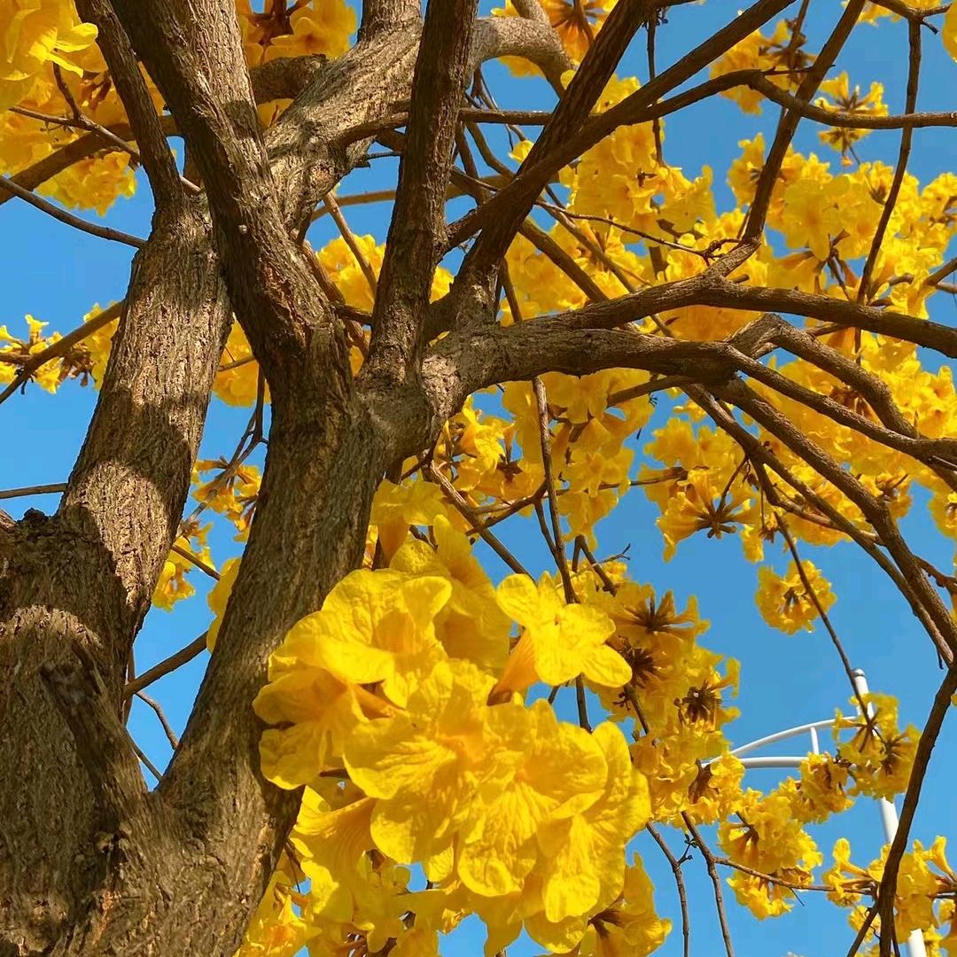 快乐的海苔方便面