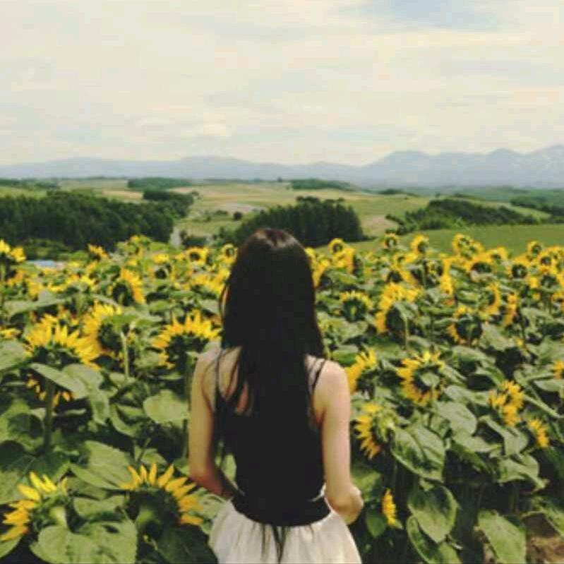 可乐🌸加冰