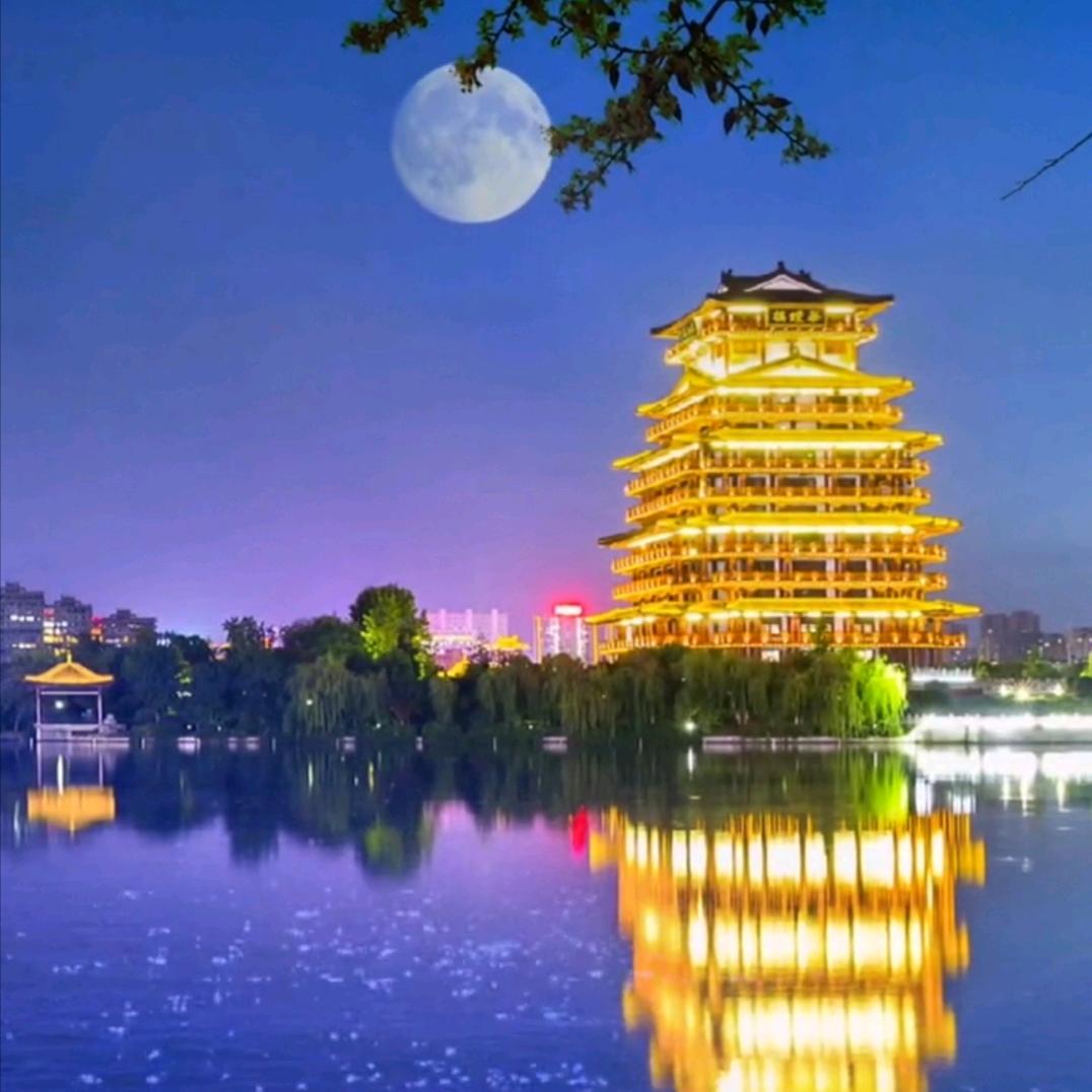 🌷夜🌹巴🌾黎🌾