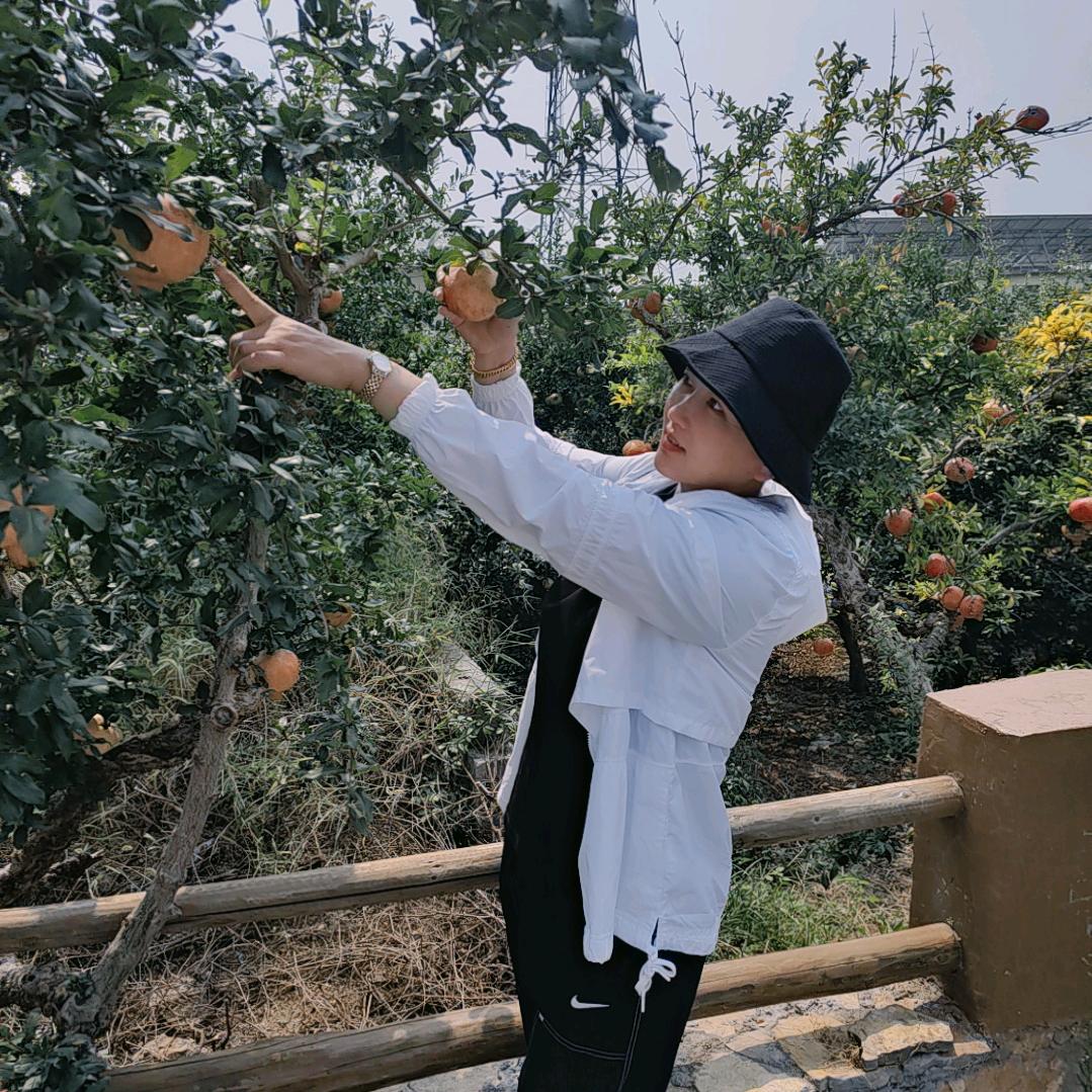 薛城坦博尔辉姐