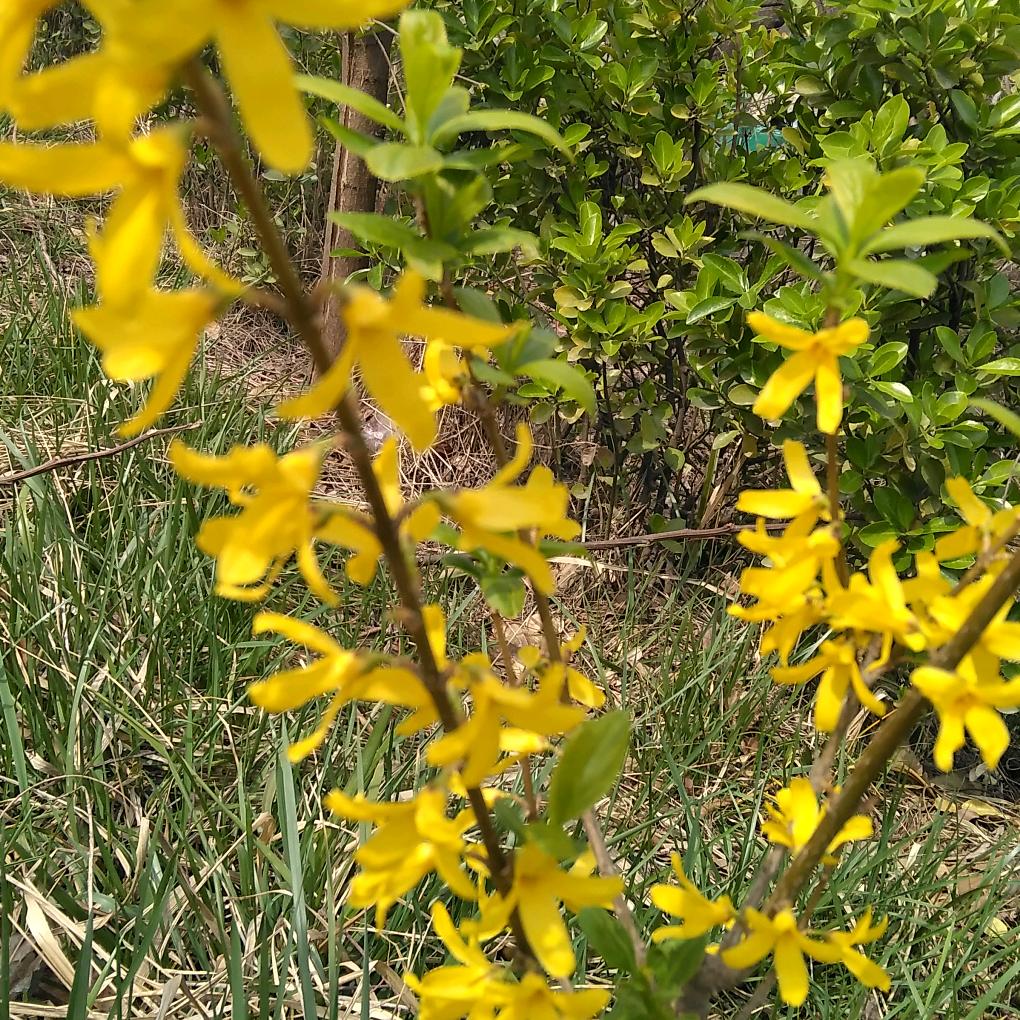 静心