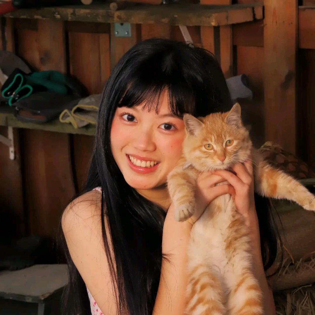朝暮