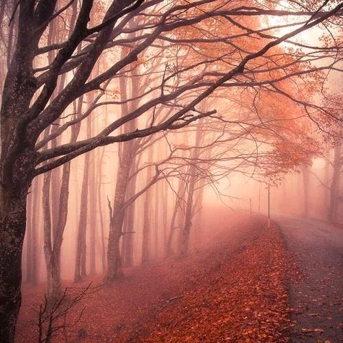 聽不見妳哋『』落寞