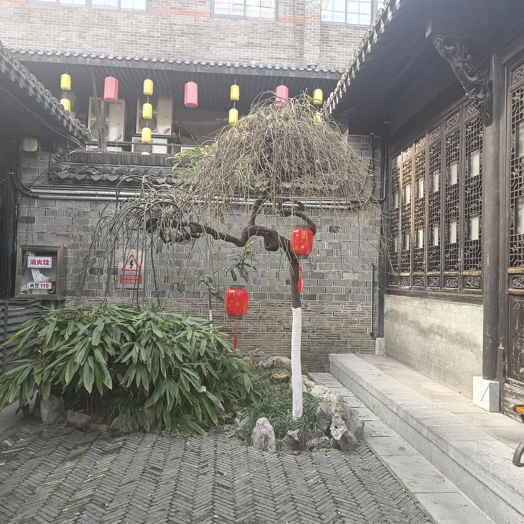 WRZ小小王