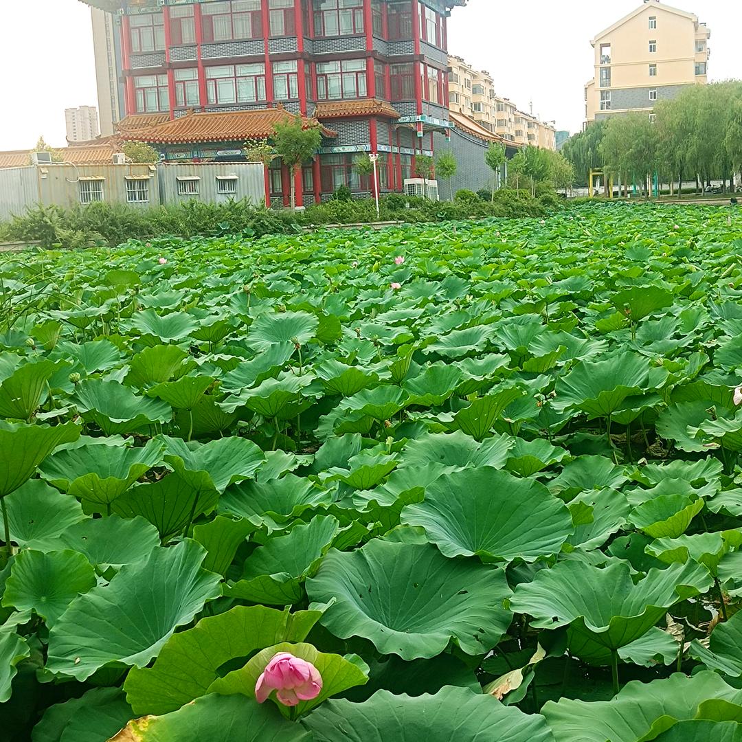 清风细雨🇨🇳