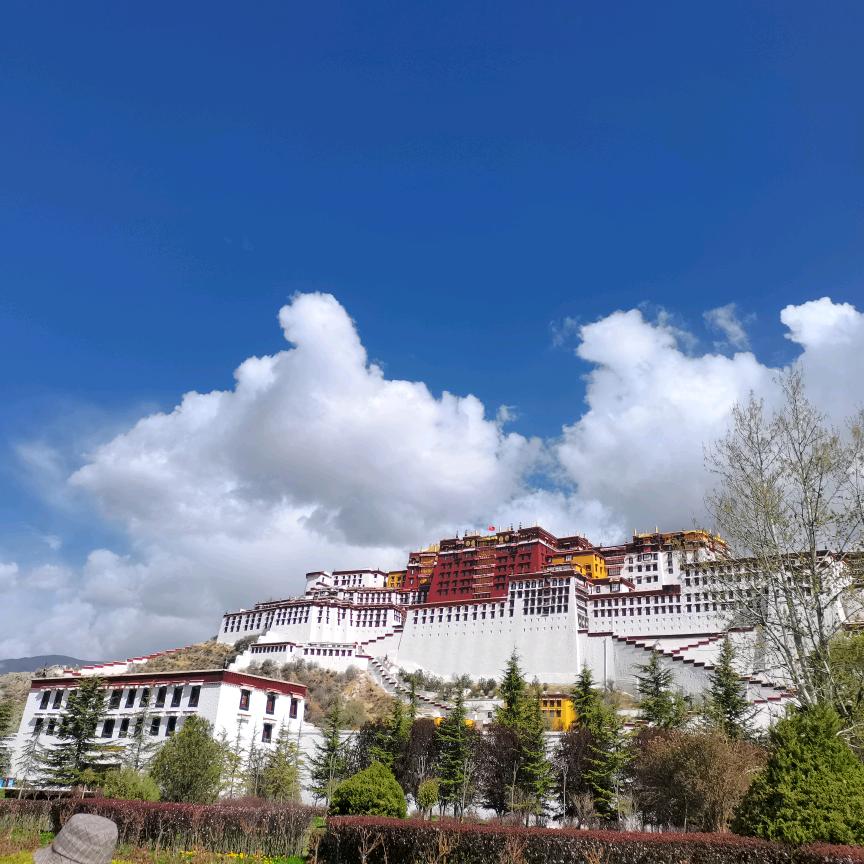 拉萨废品回收-秋雨实业