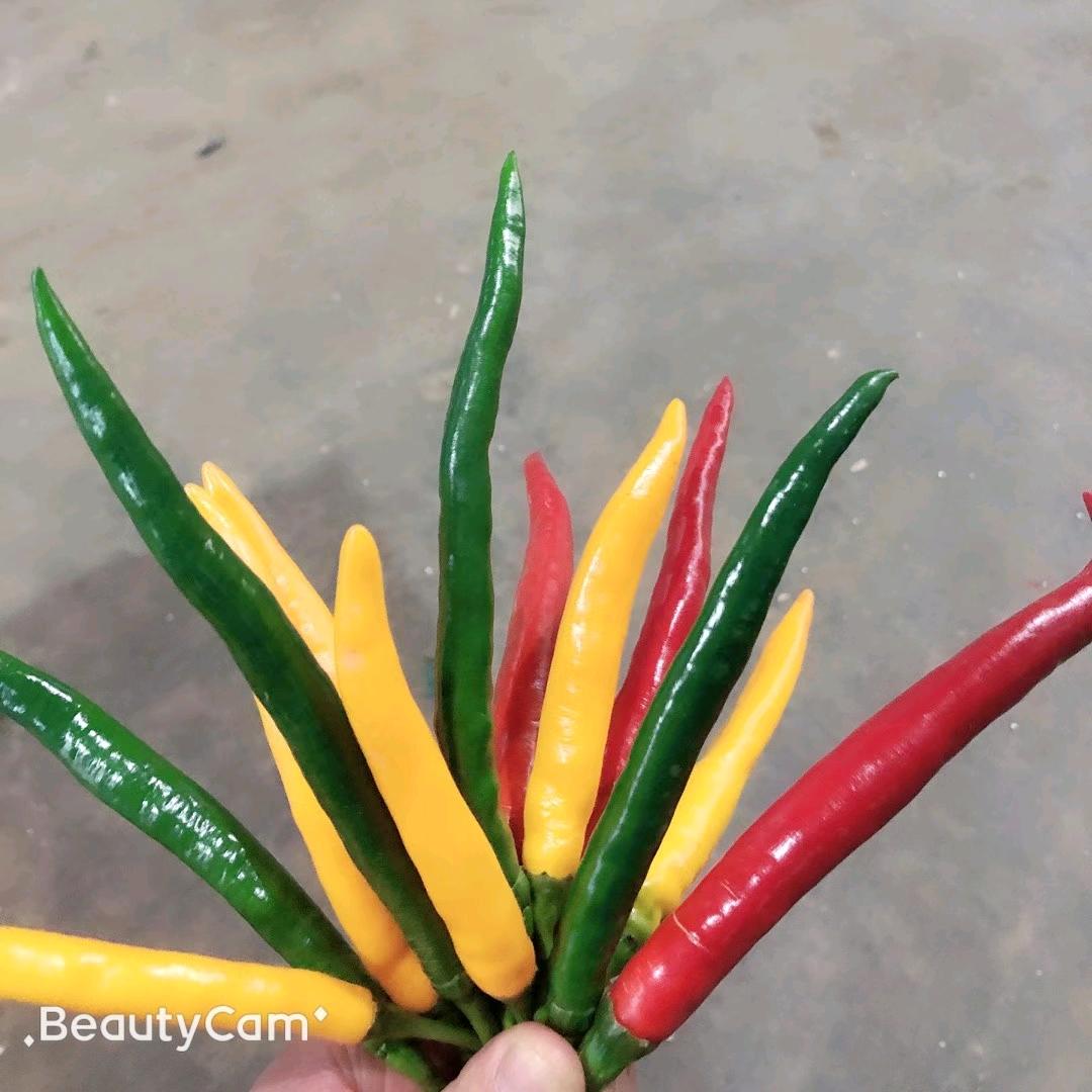 鲜绿佳旺蔬菜批发配送