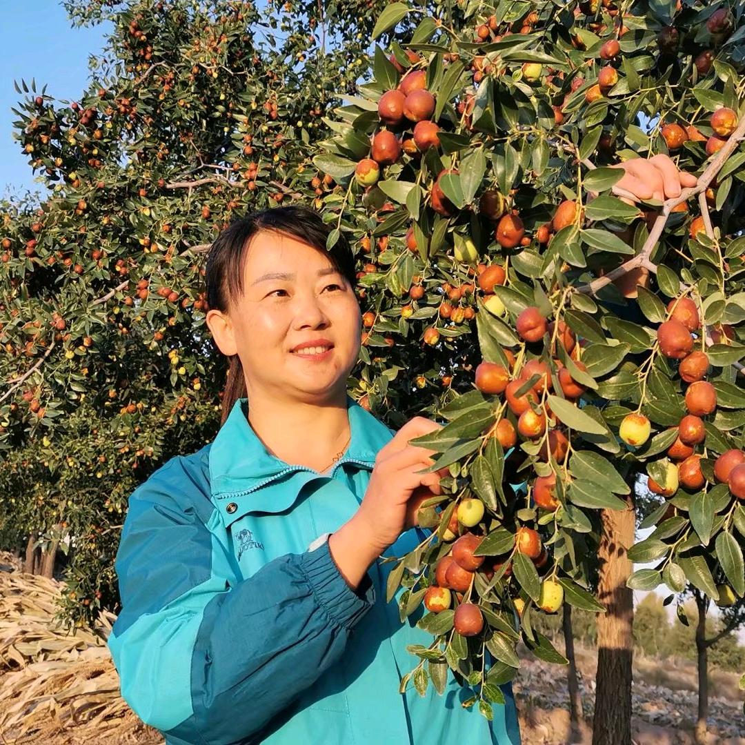 小枣姐张素优选