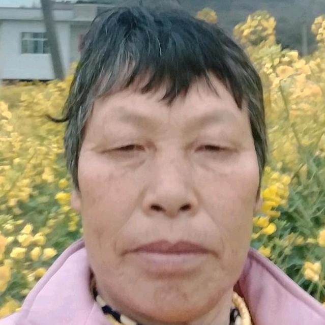 乡村罗老太