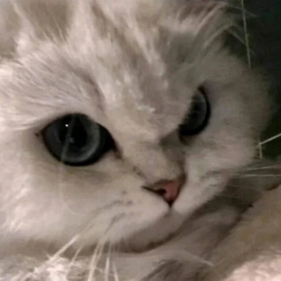 |-|.