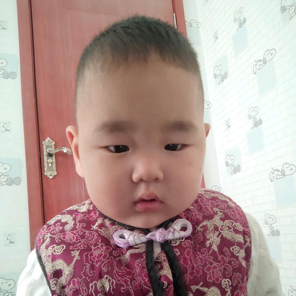鹏成万里