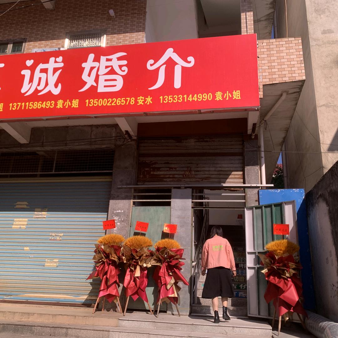 安水婚介。吴淑勤