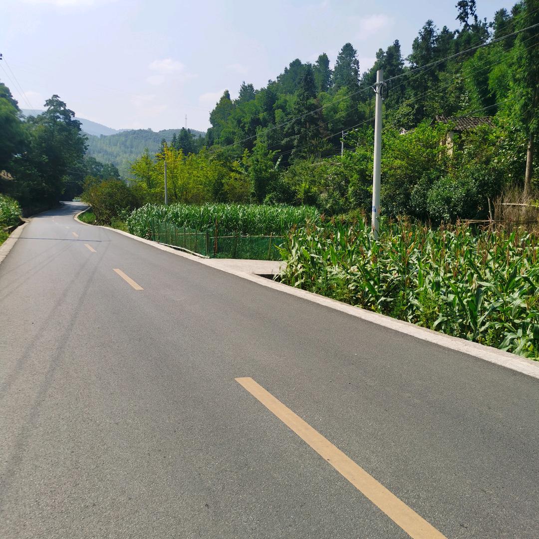 郑大军