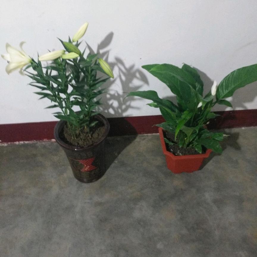 文刂🔪钓鱼🎣运动